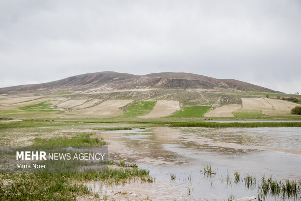 Quri Gol lake in East Azarbaijan Province
