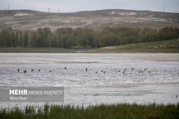 Quri Gol lake in East Azarbaijan Province
