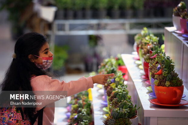 نوزدهمین نمایشگاه گل و‌گیاه تهران از تاریخ ۱۶ تا ۲۲ اردیبهشت ماه از ساعت ۱۰ صبح تا ۸ شب در محل دائمی نمایشگاه‌های شهرداری تهران میزبان علاقه‌مندان گل و گیاه است