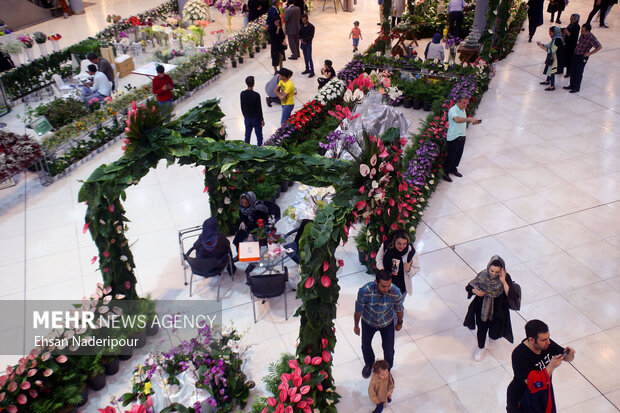 19th flower and plants exhibition in Tehran
