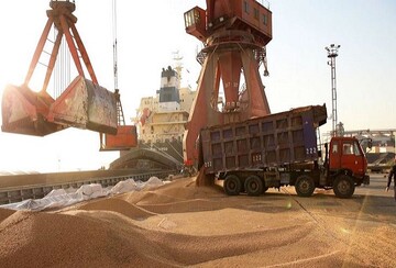 بیش از ۱.۴ میلیون تن گندم در خوزستان خریداری شد