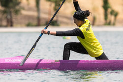Iran's rowing league