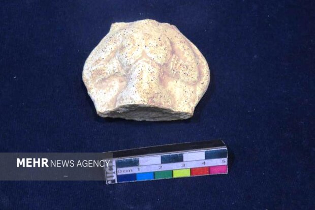 کشف ۲ پیکرک عیلامی در زمینهای کشاورزی شوش