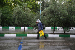 سی و‌چوارەمین پیشانگای نێودەوڵەتی کتێبی تاران