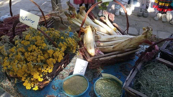 برندسازی گیاهان دارویی تکلیف سازمانی میراث فرهنگی تربتحیدریه است برندسازی گیاهان دارویی تکلیف سازمانی میراث فرهنگی تربتحیدریه است