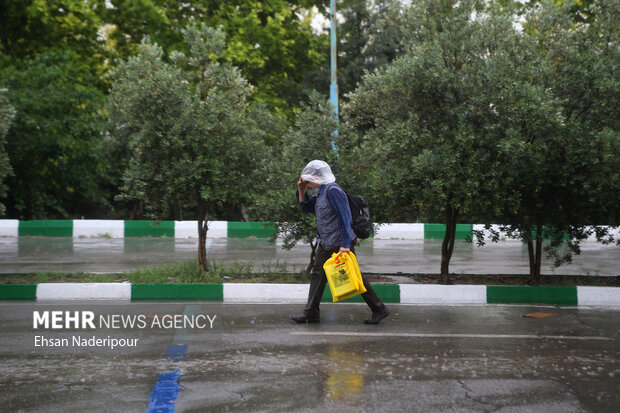 سی و چهارمین نمایشگاه بین المللی کتاب تهران 20