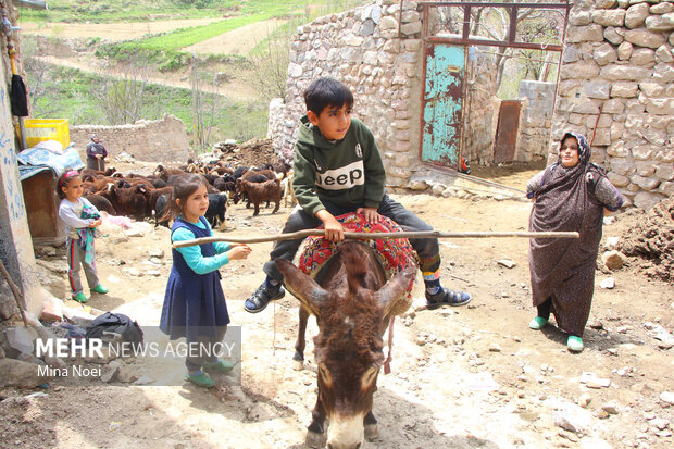 رزمایش جهاد دامپزشکی