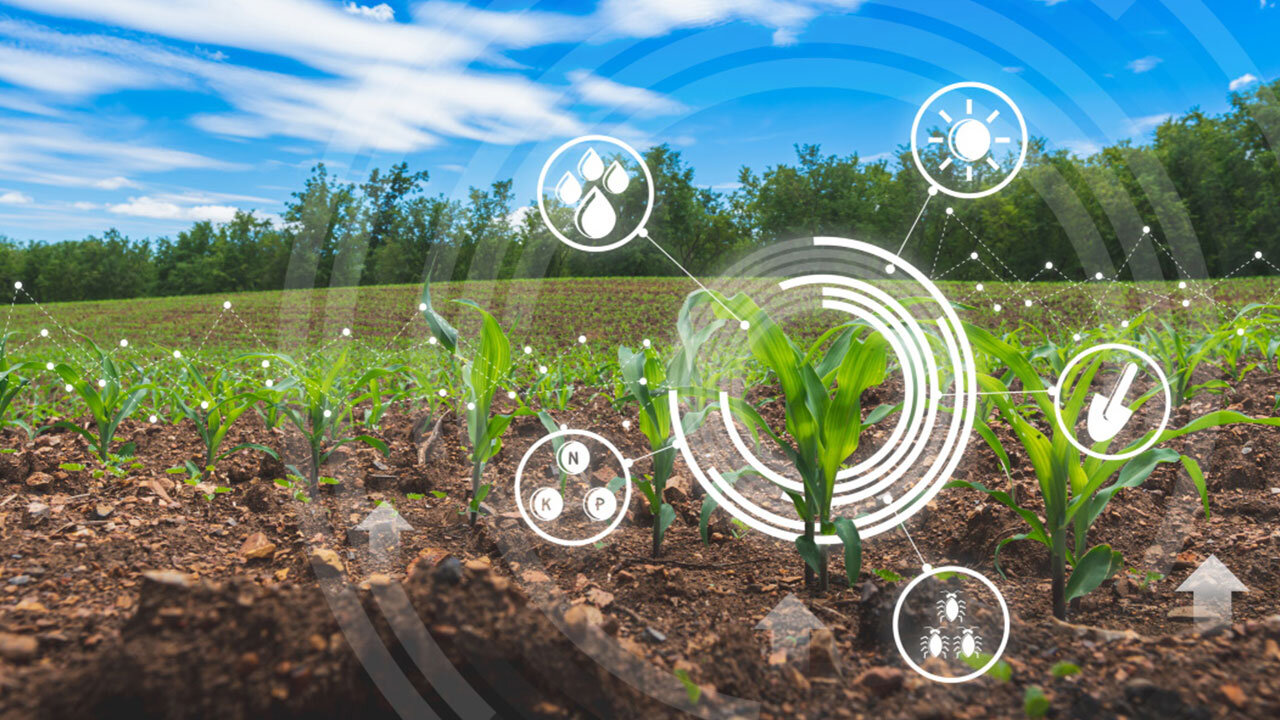 ایجاد ۱۰ دهکده فناوری برای دانش بنیان کردن بخش کشاورزی
