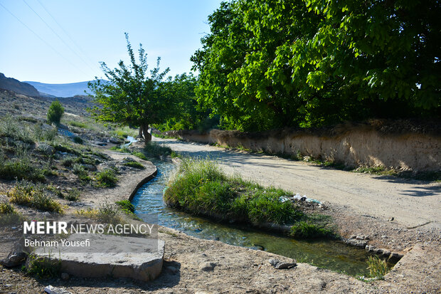 Şiraz