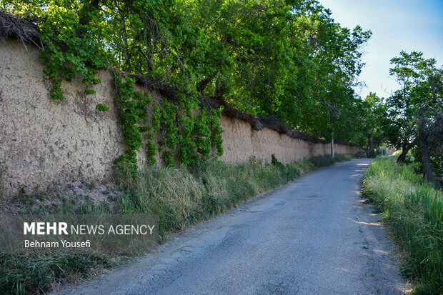 کوچه باغ های شیراز