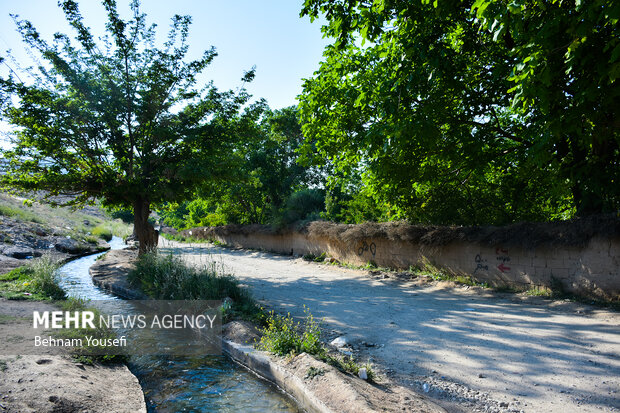 باغات قصردشت شیراز به کمتر از 3 هزار هکتار رسیده است