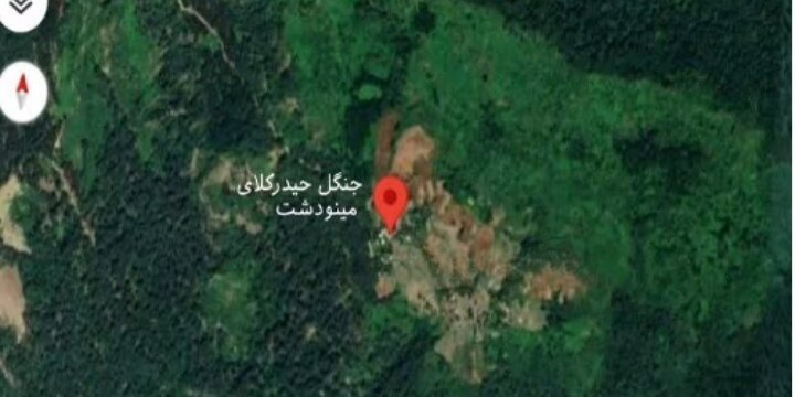 نابودی جنگل و تولد یک آبادی/ تاراج طبیعت «حیدرکلا» ادامه دارد