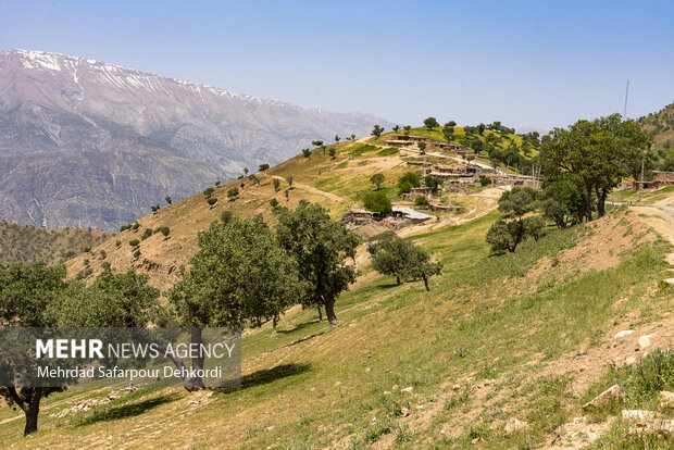 طبیعت بهاری کارون 3 و 4 4