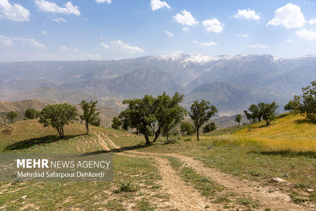 Luristan’daki “Sarab Talh” bölgesine sonbahar gezisi