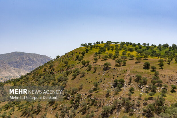 ندای لرستان