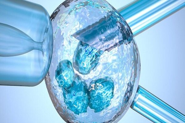 Iranian knowledge-based companies flourish in cell therapy