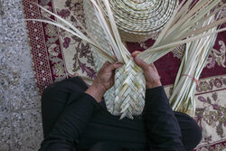 Mat weaving art in Southern Iran