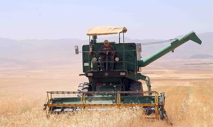 ۵۱۰ میلیارد تومان از مطالبات کشاورزان ایلام در صف پرداخت است