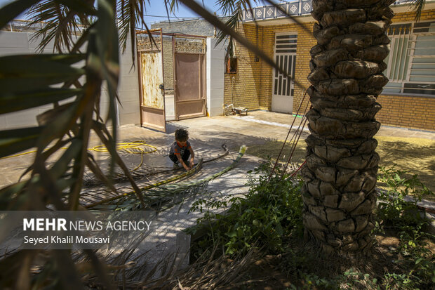 حصیر بافی با نخل خرما