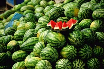 افزایش ۶۶.۶۷ درصدی قیمت هندوانه در هفته جاری+جدول