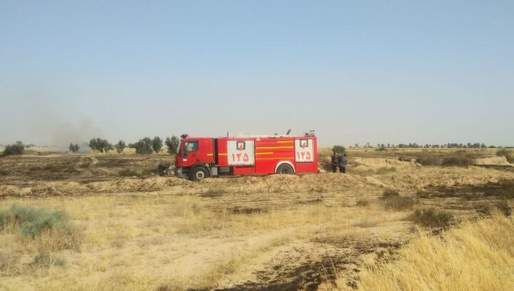آتش سوزی مزارع کشاورزی در شهرستان گناوه مهار شد