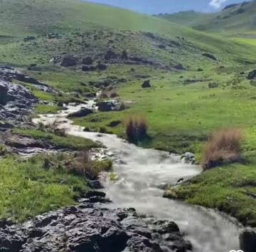 پێشوازی بەربڵاوی خەڵک لە یەکەم فێستیڤاڵی ساراڵ