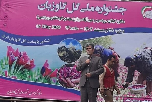 رودسر پایتخت گل گاوزبان کشور