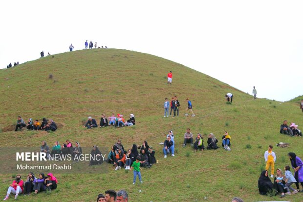 İran'da gül suyu festivali