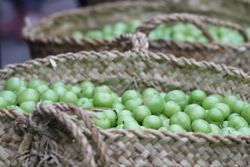 مروارید سبز شاقاجی برندسازی می‌شود/ تولید بیش از ۱۶ هزار تُن گوجه سبز در گیلان