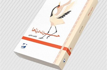 «حسرت درناها» در بازار کتاب/ نخستین رمان یک نویسنده گیلانی منتشر شد