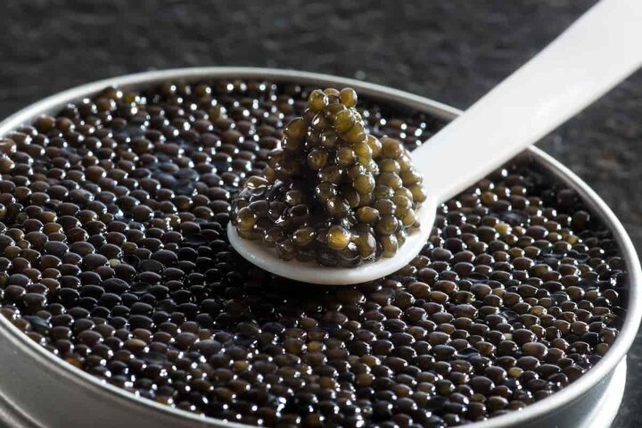 جای رشتههای مدیریت و حقوق زمین در دانشگاهها خالی است