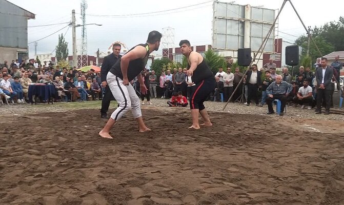 مروارید سبز شاقاجی برندسازی میشود