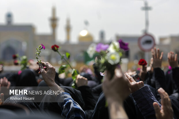 گلباران حرم امام رضا (ع) در روز میلاد حضرت معصومه (س)