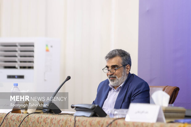 بهروز کمالوندی سخنگوی سازمان انرژی اتمی در گردهمایی روسای نمایندگی های ایران در خارج از کشور با حضور رئیس سازمان انرژی اتمی حضور دارد