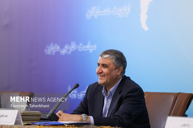 محمد اسلامی رئیس سازمان انرژی اتمی در گردهمایی روسای نمایندگی های ایران در خارج از کشور با حضور رئیس سازمان انرژی اتمی حضور دارد