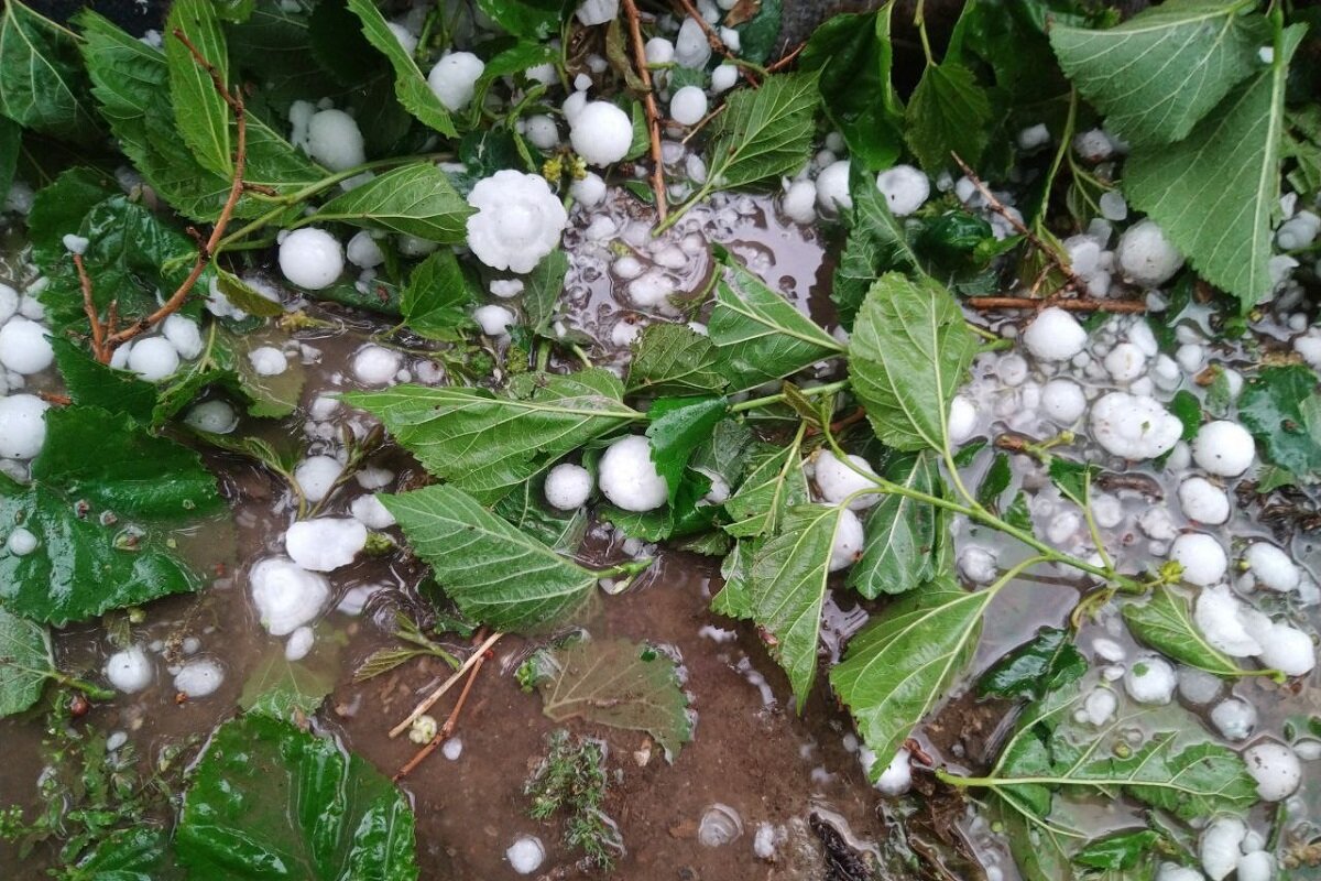 بارش تگرگ روستای کهریز از توابع شهرستان هرسین را سفیدپوش کرد