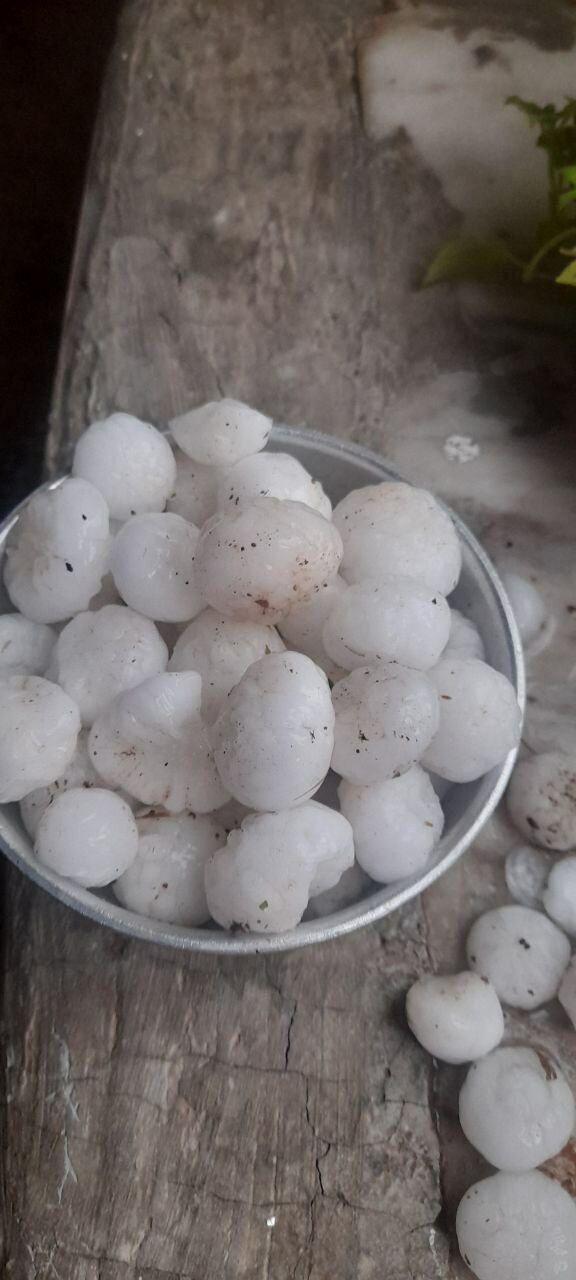 بارش تگرگ به شهرستان های شمالغربی کرمانشاه خسارت وارد کرد