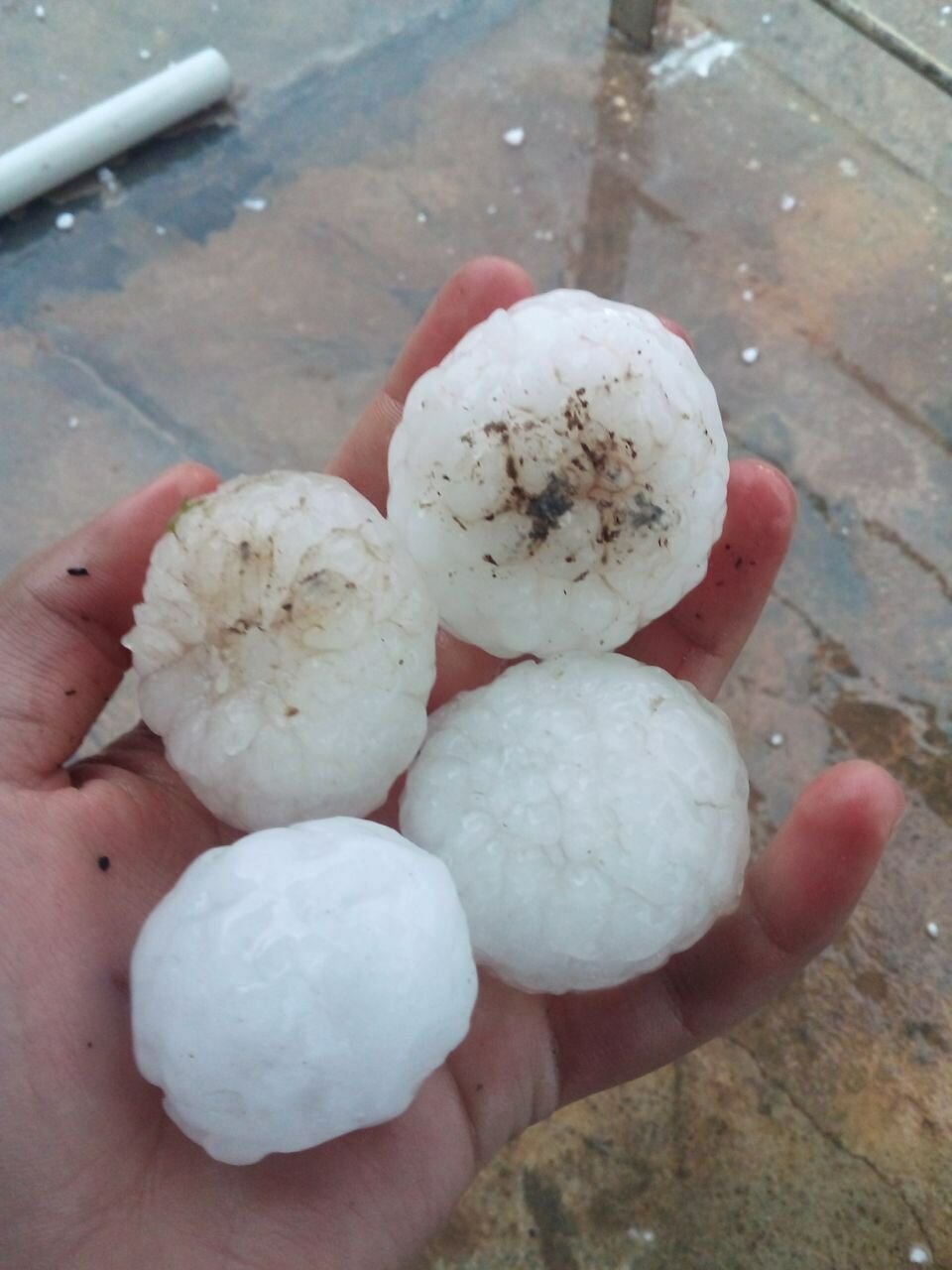 بارش تگرگ به شهرستان های شمالغربی کرمانشاه خسارت وارد کرد