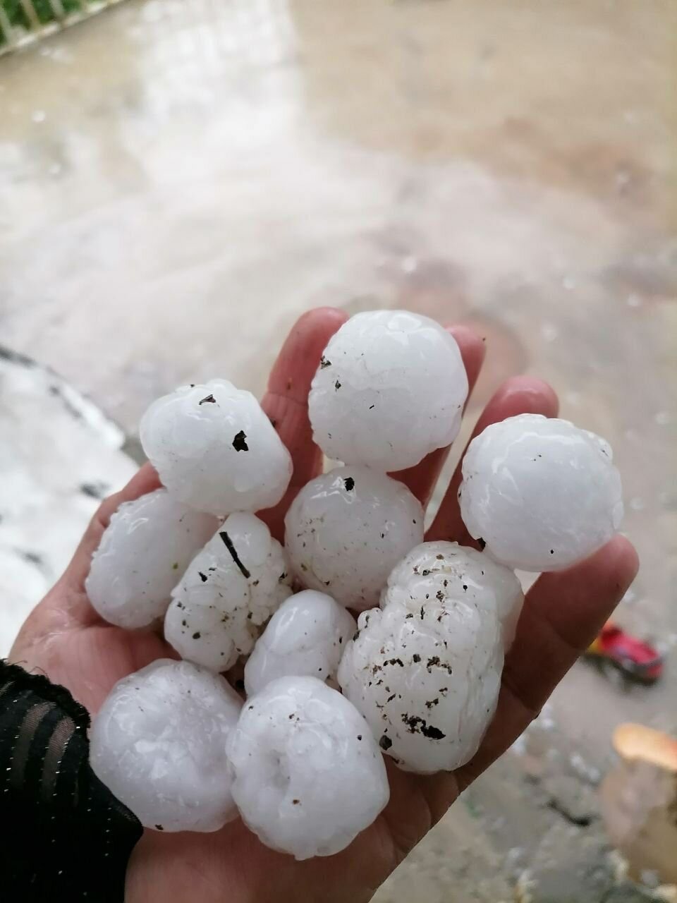 بارش تگرگ به شهرستان های شمالغربی کرمانشاه خسارت وارد کرد