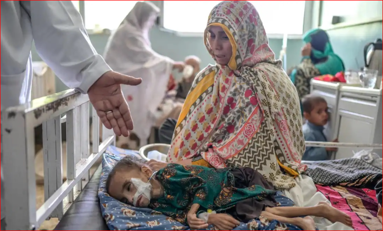 قربانیان غیرمستقیم اشغالگری؛ چگونه مرگ از جنگ بیشتر عمر میکند؟