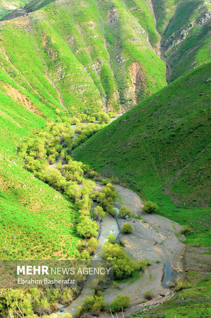 طبیعت زیبای کوهستان‌های گادر شهرستان مرزی اشنویه