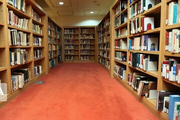 کتابخانه‌های اردبیل یک میلیون جلد کتاب دارند/پایین بودن سرانه کتاب به ازای هر اردبیلی