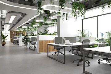 Incorporating plants into office interior design