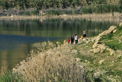 سال زراعی پُرباران‌ در لرستان؛ آیا کمبود بلندمدت جبران شد؟