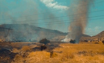 مراتع و جنگل‌های منطقه «ماهور» باشت در میان شعله‌های آتش می سوزد