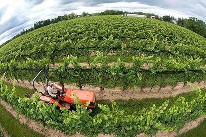 اصلاح الگوی کشت راهکاری اساسی در کاهش هزینههای تولید است اصلاح الگوی کشت راهکاری اساسی در کاهش هزینههای تولید است