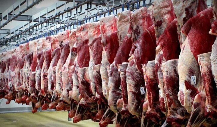 نخستین کشتارگاه صنعتی بوشهر راهاندازی میشود نخستین کشتارگاه صنعتی بوشهر راهاندازی میشود
