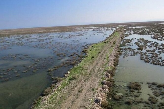 حیات دوباره «حله» پس از دو دهه؛ تالابی که با بارندگیهای اخیر جان گرفت