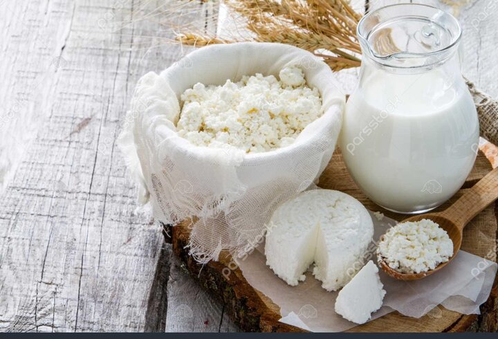 هزار راه رفته بینتیجه گندم / محصولات لبنی در انتظار افزایش قیمت