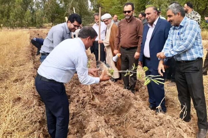آغاز عملیات اجرایی بوستان شهدای جهاد کشاورزی و منابع طبیعی دزفول